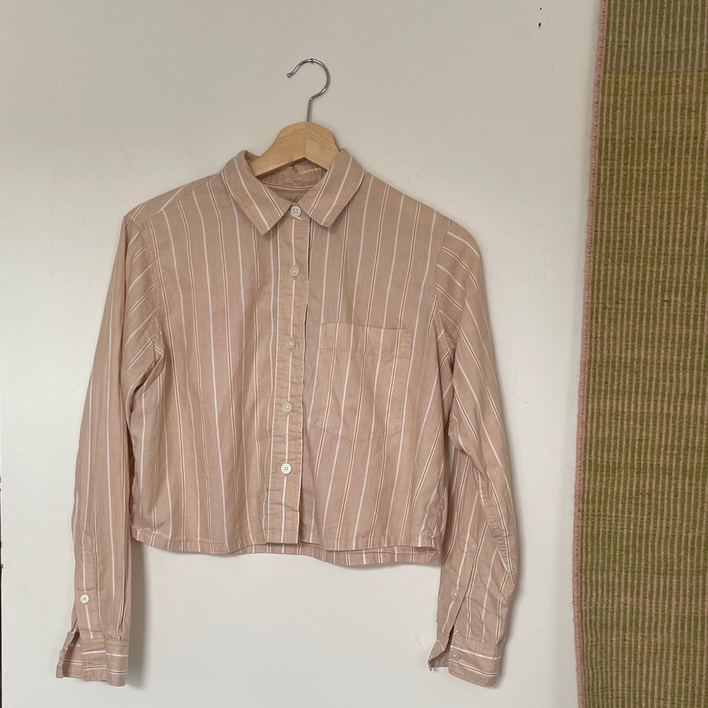 Everlane Beige/ Blush Pink Striped Cropped Button-Up